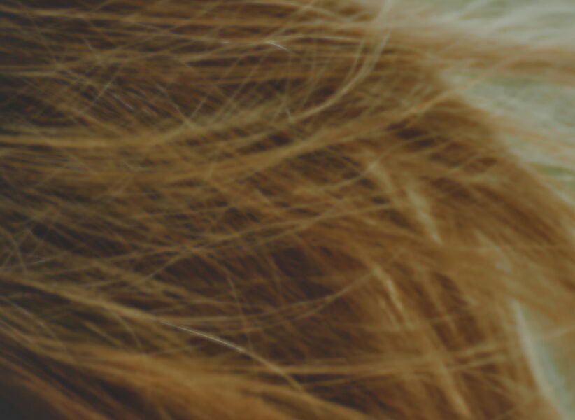 light brown hair blowing in wind Hair Butler™ hair extension workstation tool